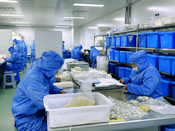 儿科 / 产科等科室使用电子输注泵的针对性功能设计有哪些？