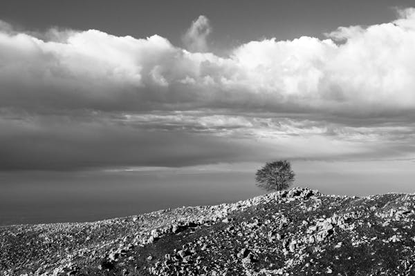 面对全球竞争和疫情后的市场动荡，医疗器械行业趋于什么样的形势？